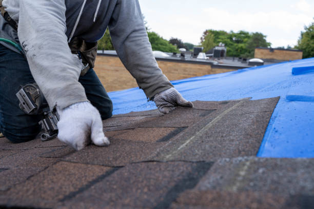 Professional Roofing Contractor in Van Wert, OH